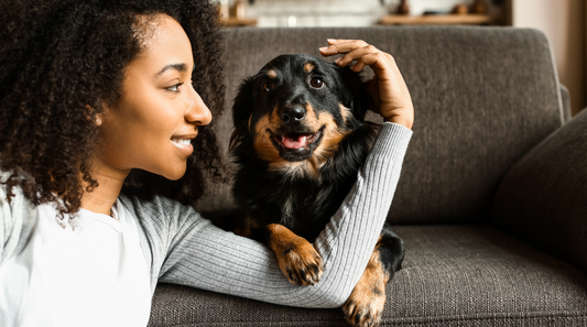 dog sitting near woman
