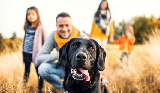 a dog with family