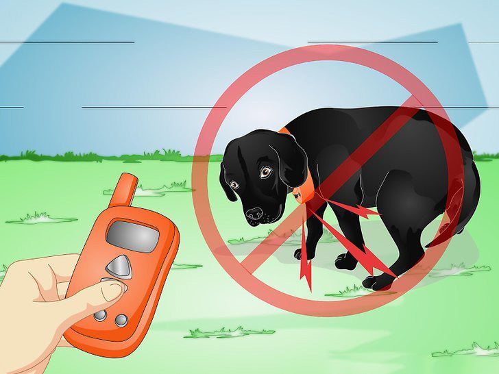 Mini Educator E Collar Troubleshooting: Quick Fixes & Tips