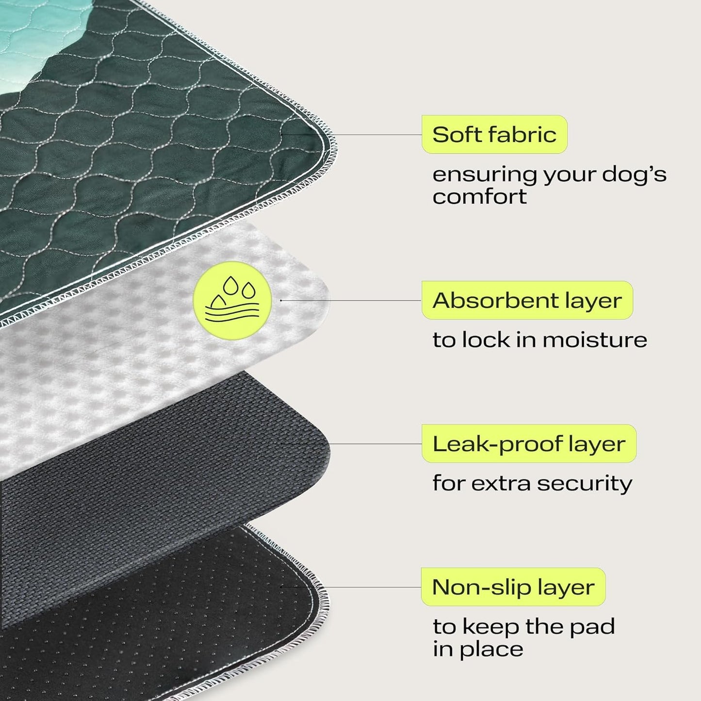 The largest washable dog pee pad in the world