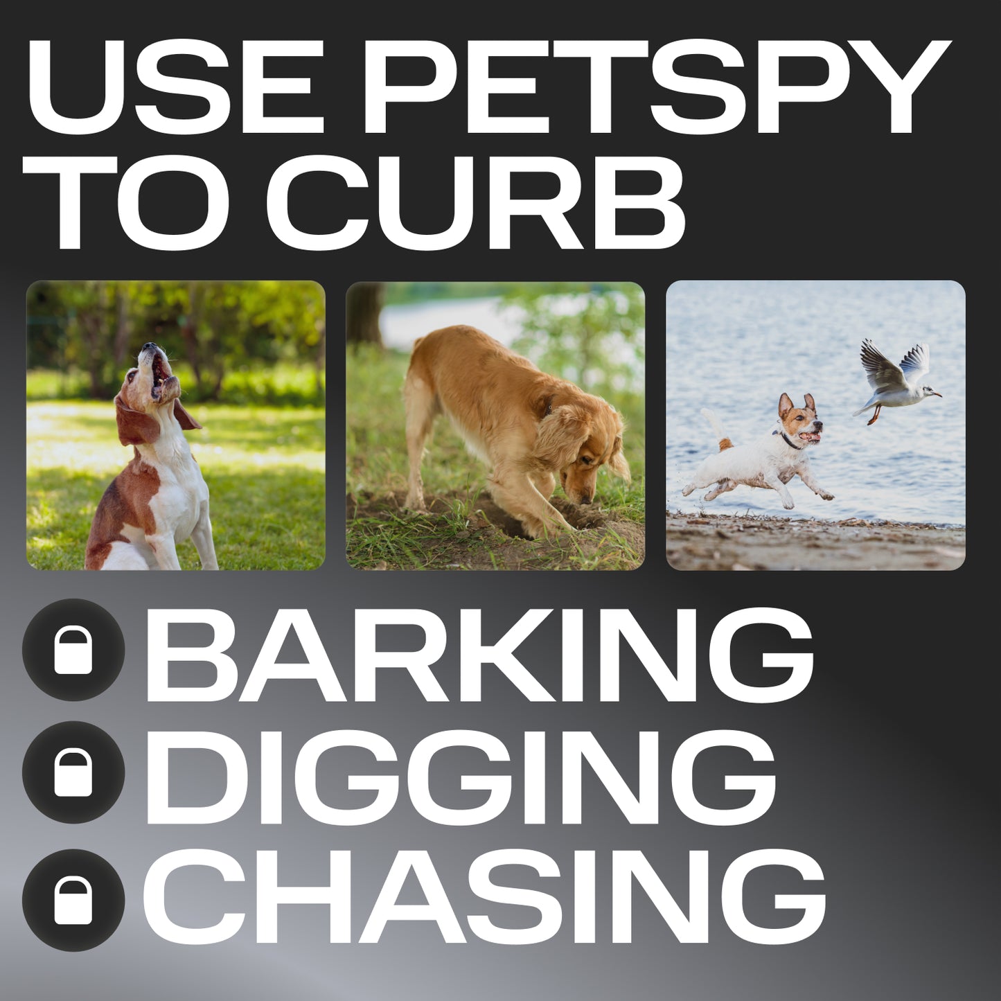 use petspy to curb barking digging chasing