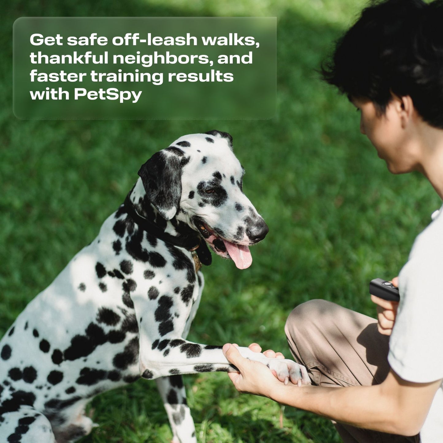 get safe off-leash walks thankful neighbors and faster training results with petspy