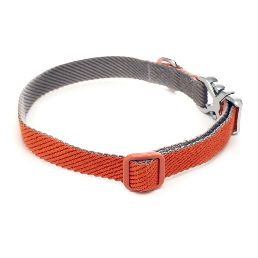 comfy dog collars softest