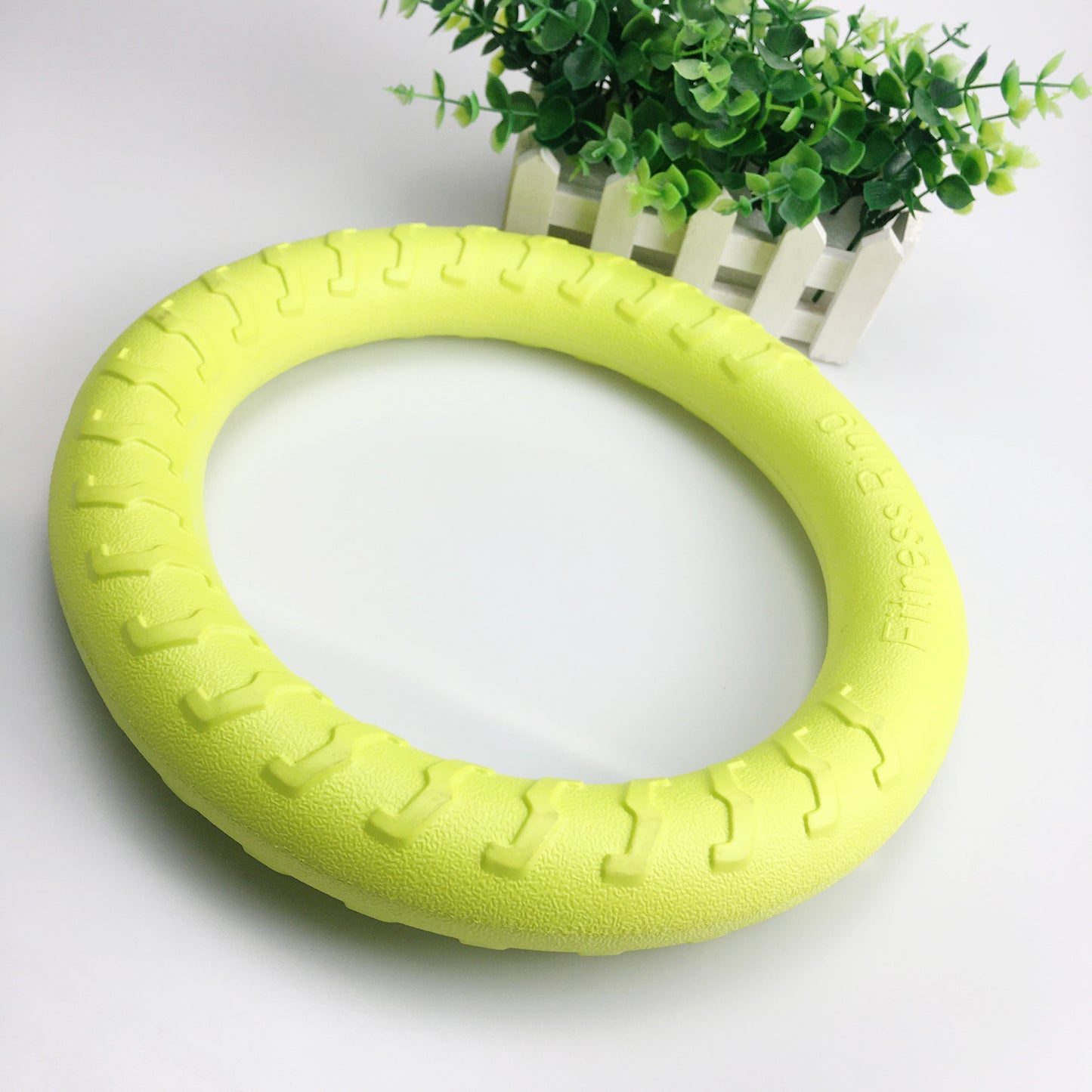 dog toy