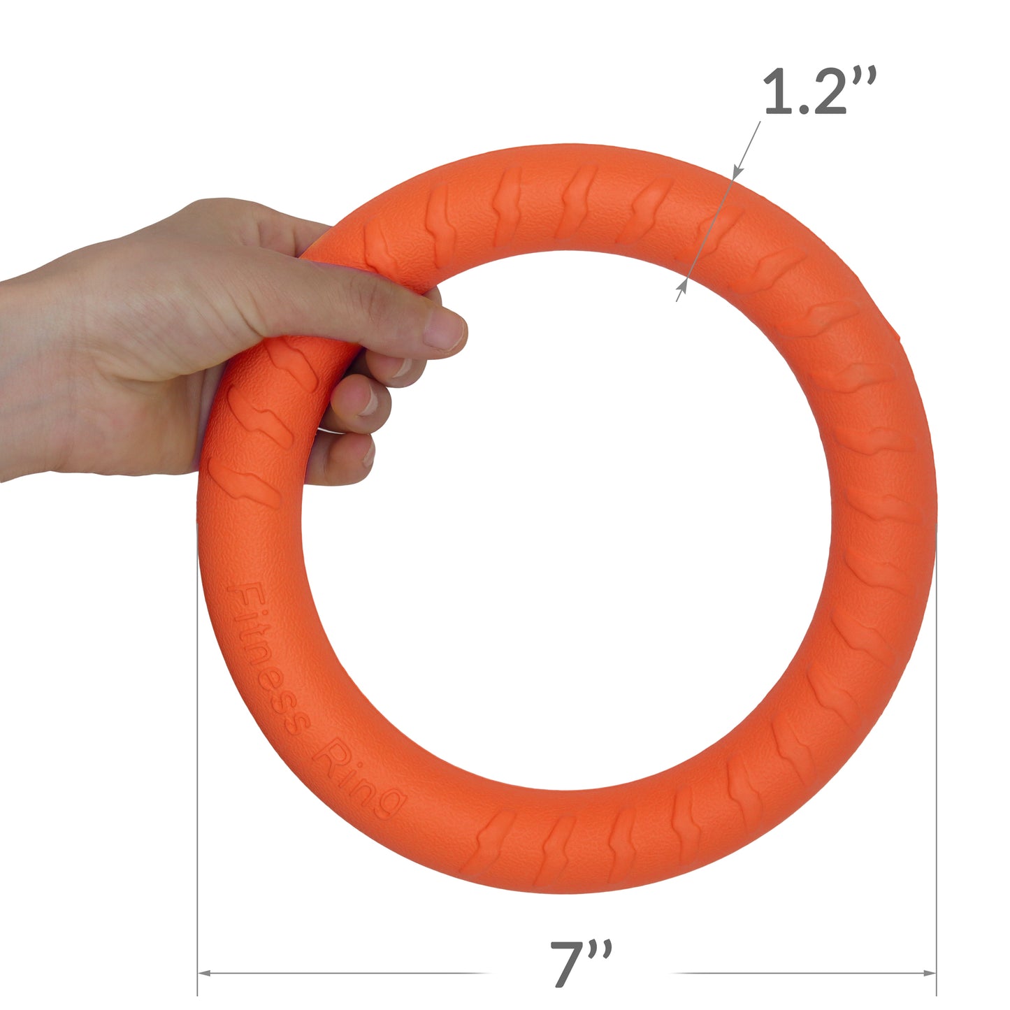 dog fitness ring toy