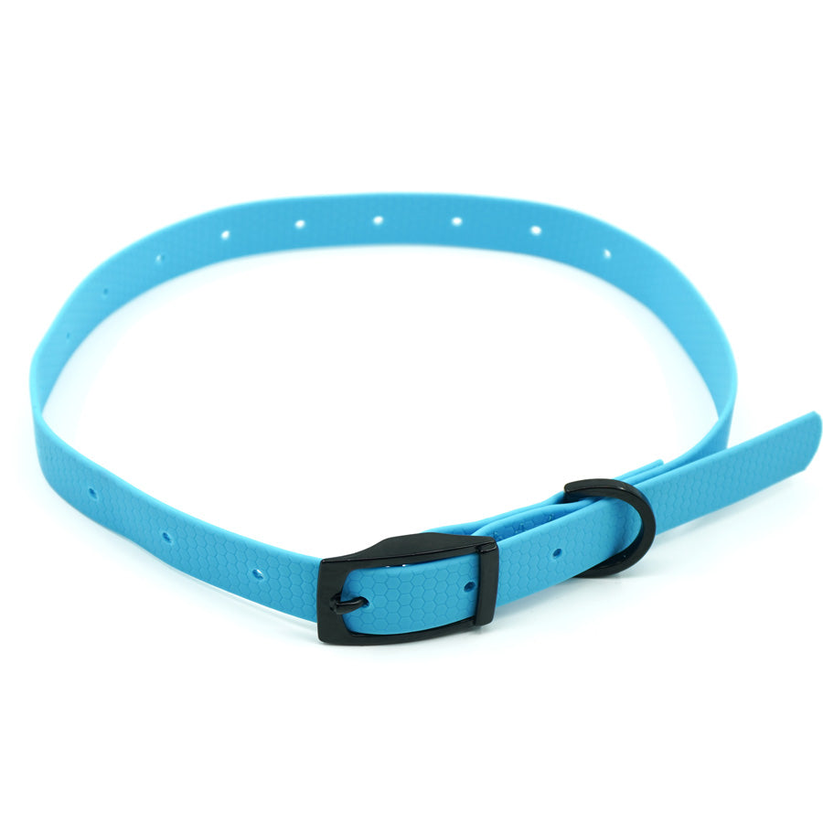 dog collar - top view