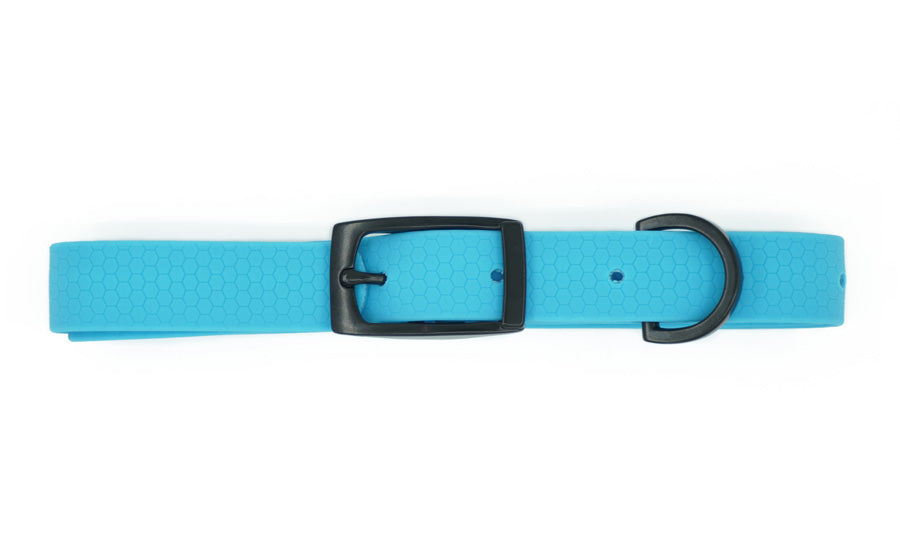 odor free dog collars
