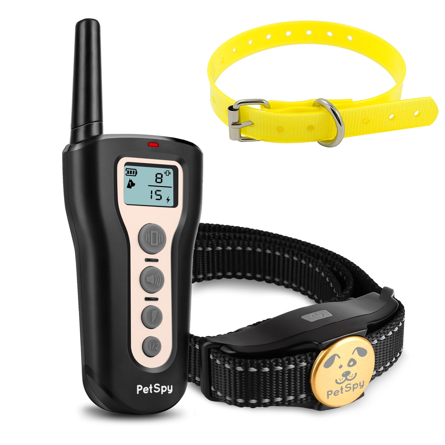 P320 Perfect for Field Training with black collar