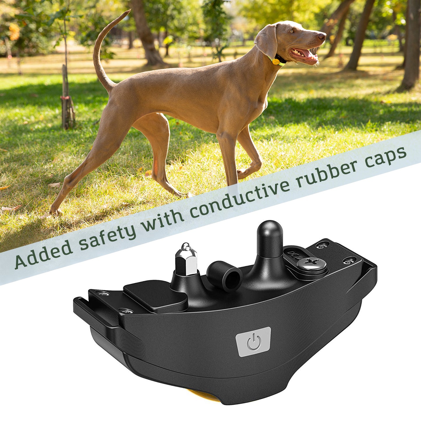 dog shock collar with remote