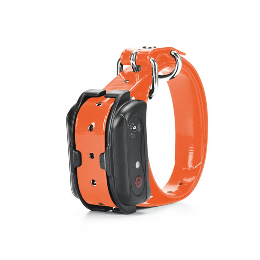 M919 Extra Dog Training Collar