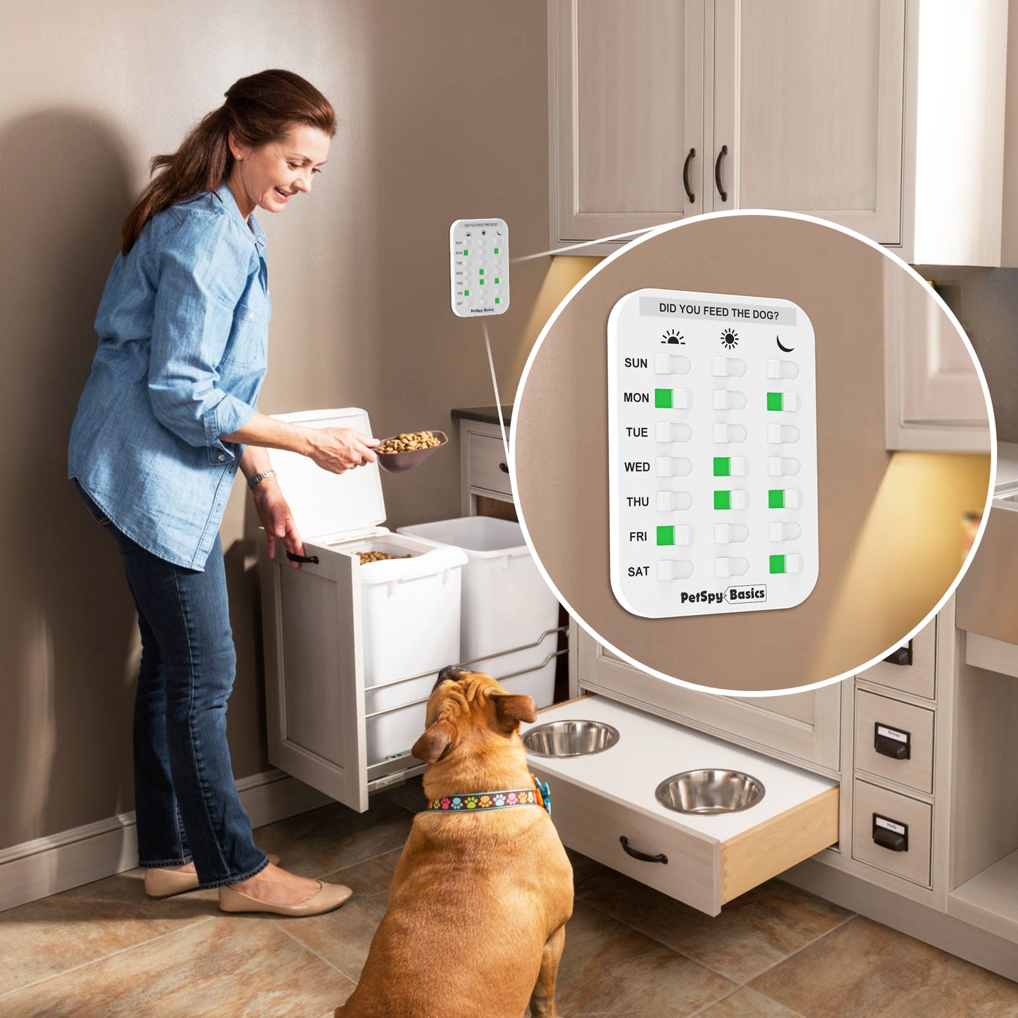 Kitchen feeding dog reminder
