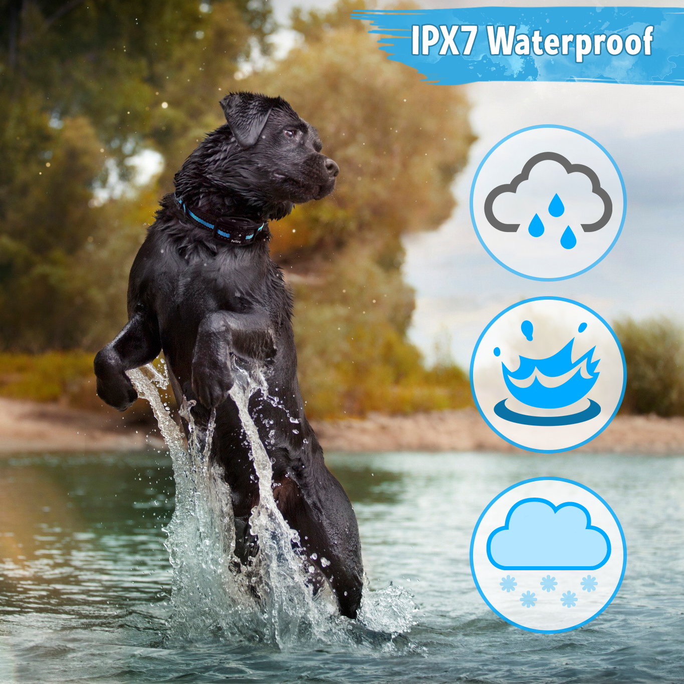IPX7 waterproof bark collar