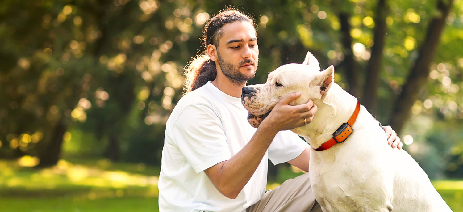 Man with dog sales collar