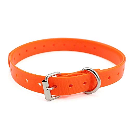 Extra dog collar strap_orange
