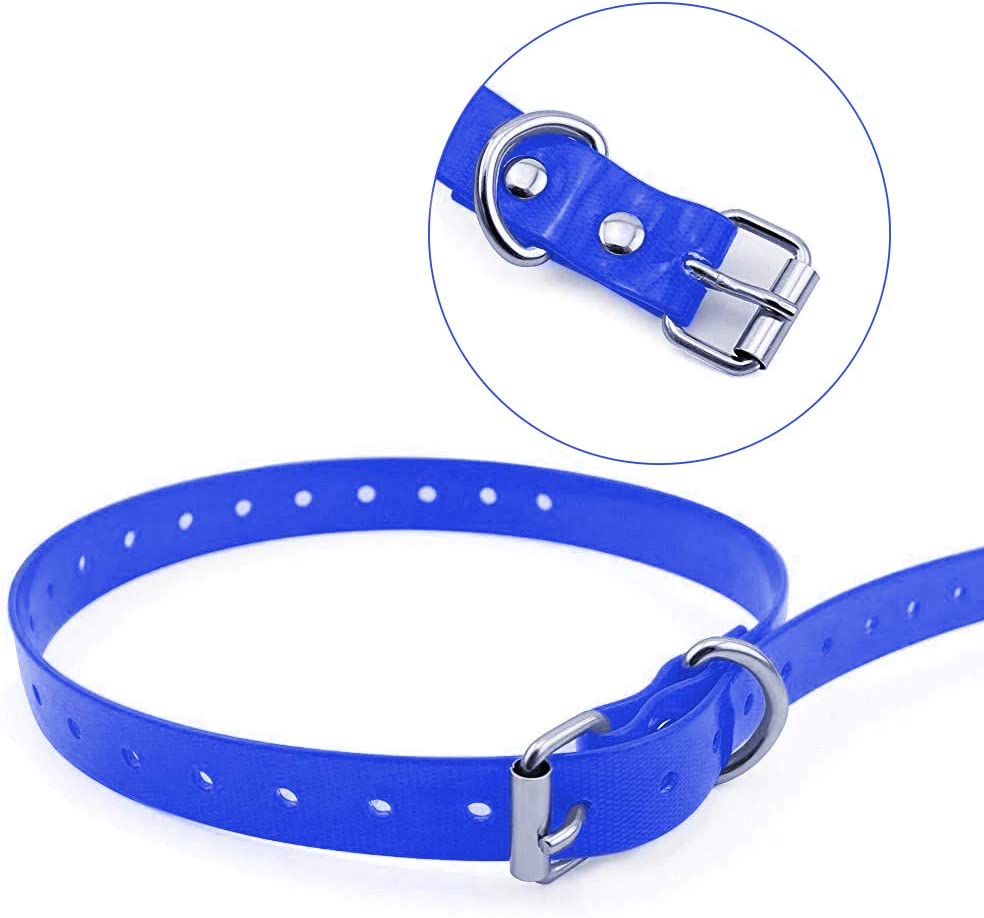 blue extra dog collar strap, closer blue