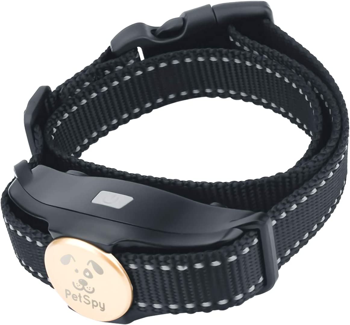 nylon black extra dog collar strap, closer view
