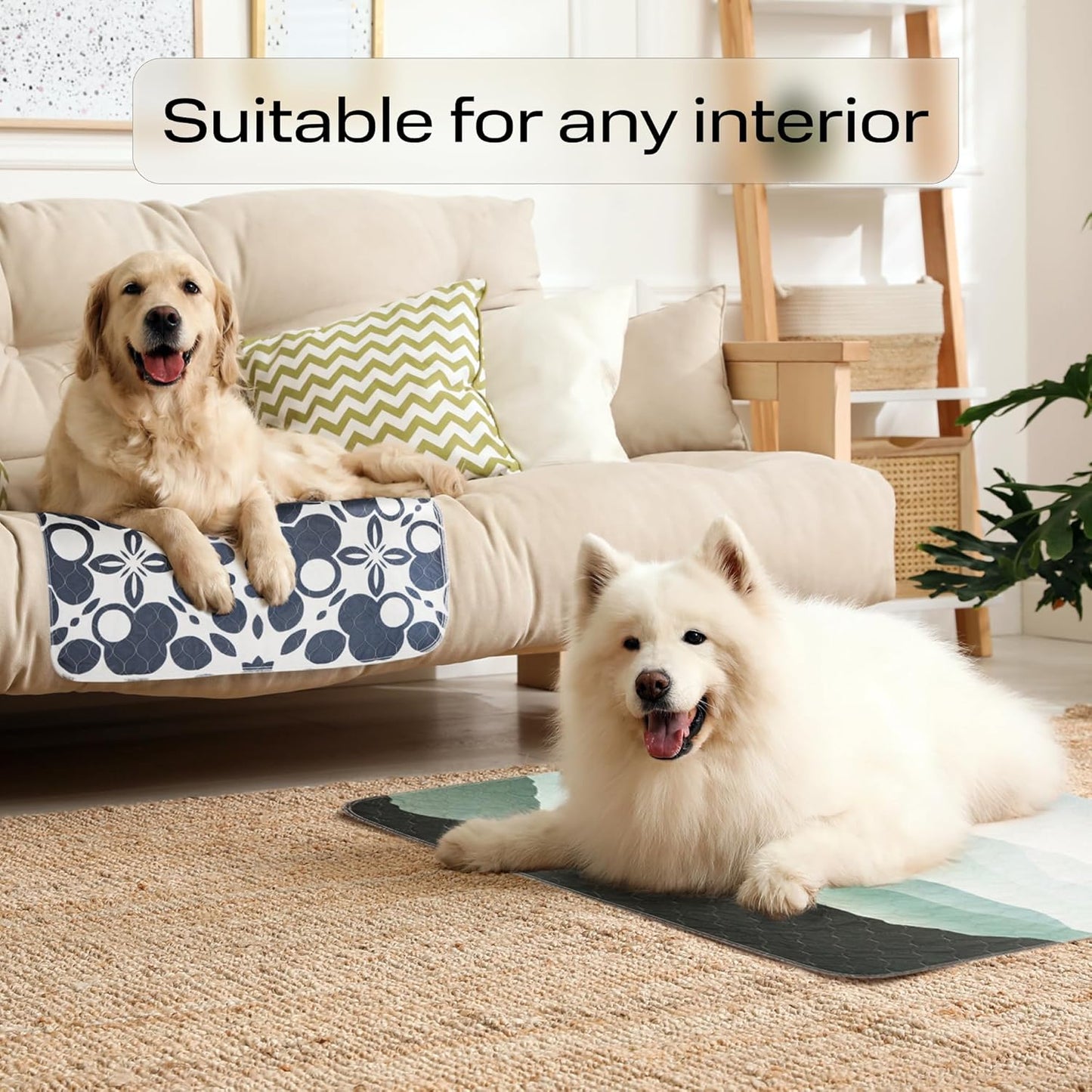 The largest washable dog pee pad in the world!