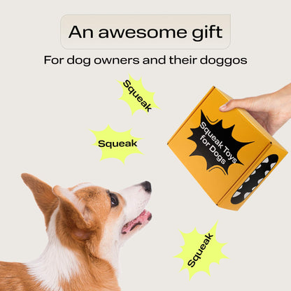 Calming Dog Toys