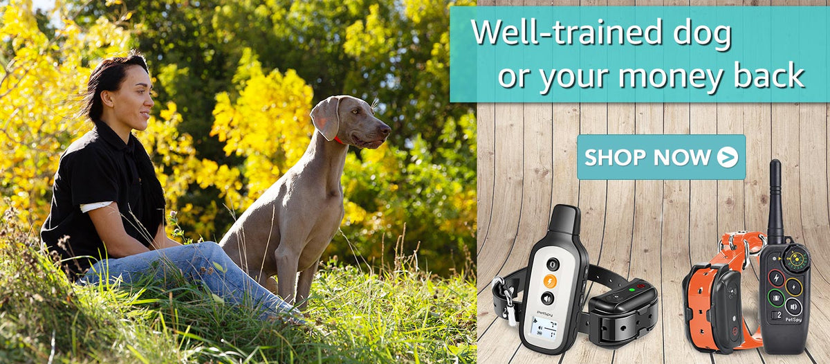 PetSpy® ECollars Official Manufacturer site