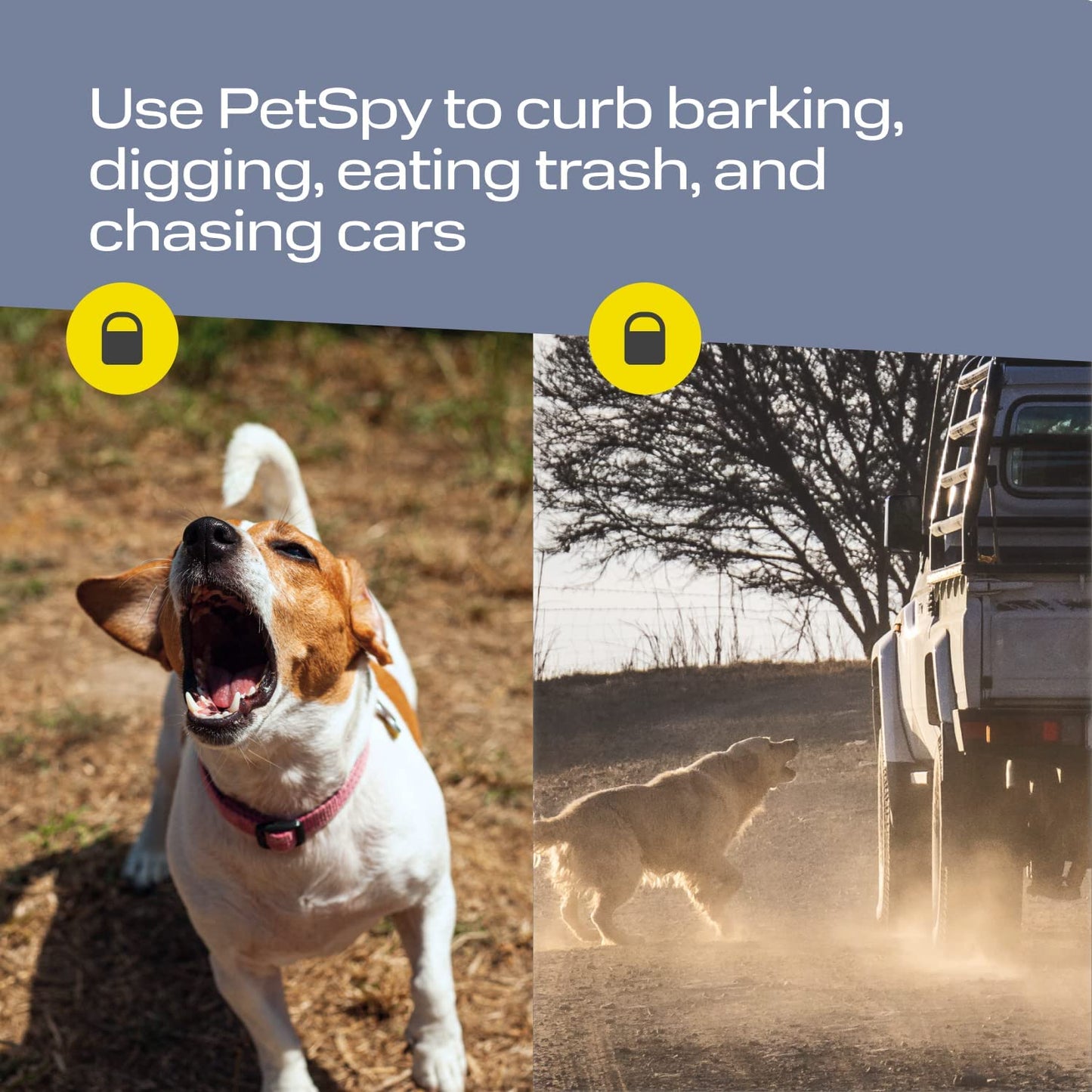 use petspy to curb barking, digging, eating trash and chasing cars