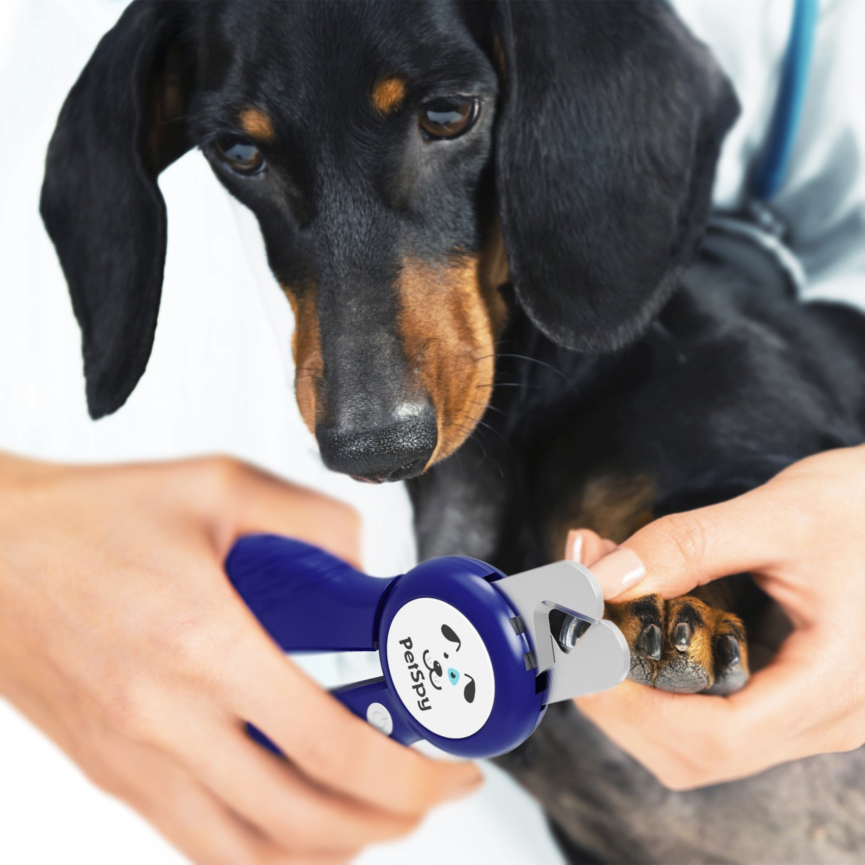 Dog nail clippers with a cheap light