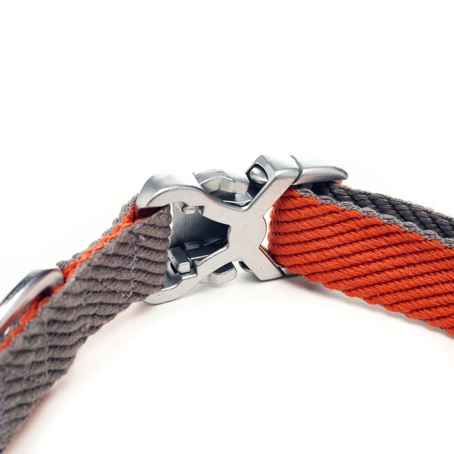 The comfortable dog collars are designed with an adjustable strap, allowing you to find the perfect fit for your dog. 
