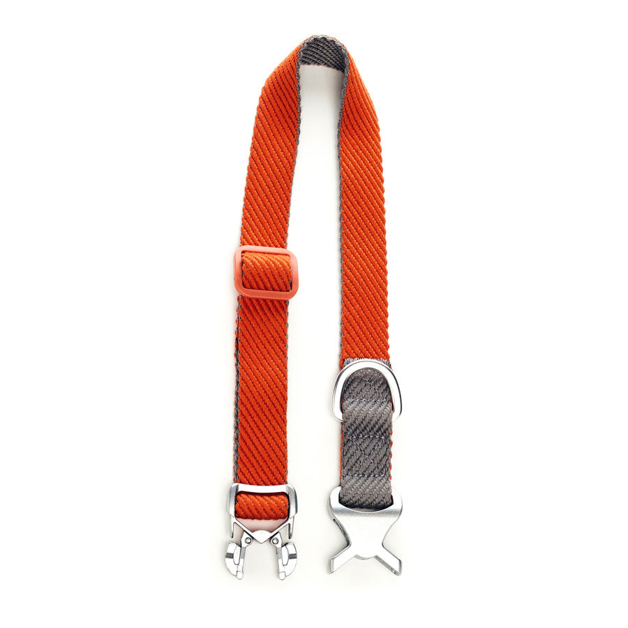 most comfortable collars for dogs 