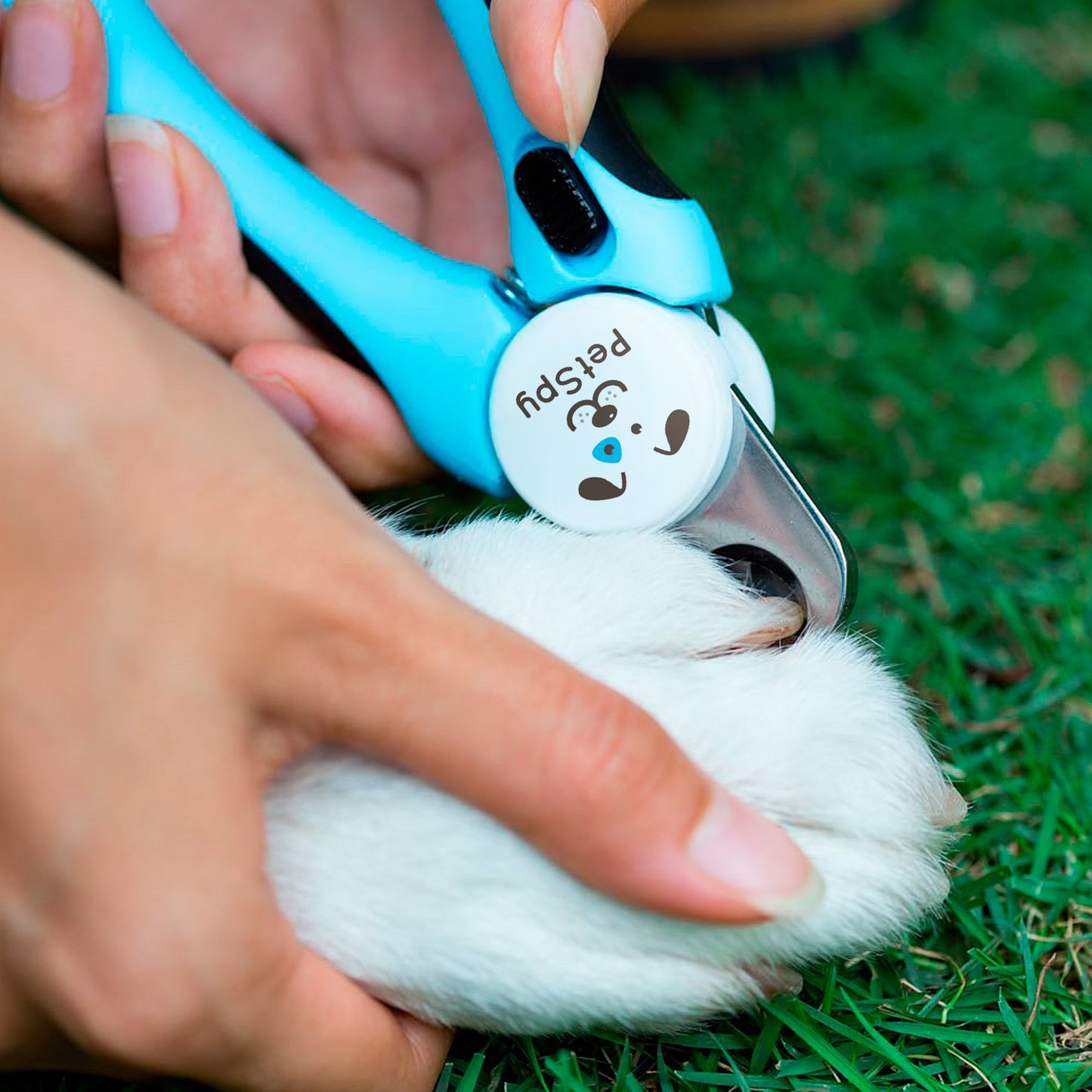 safety guard sensing dog nail clippers
