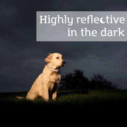 Reflective Dog Training Collar highly reflective in the dark