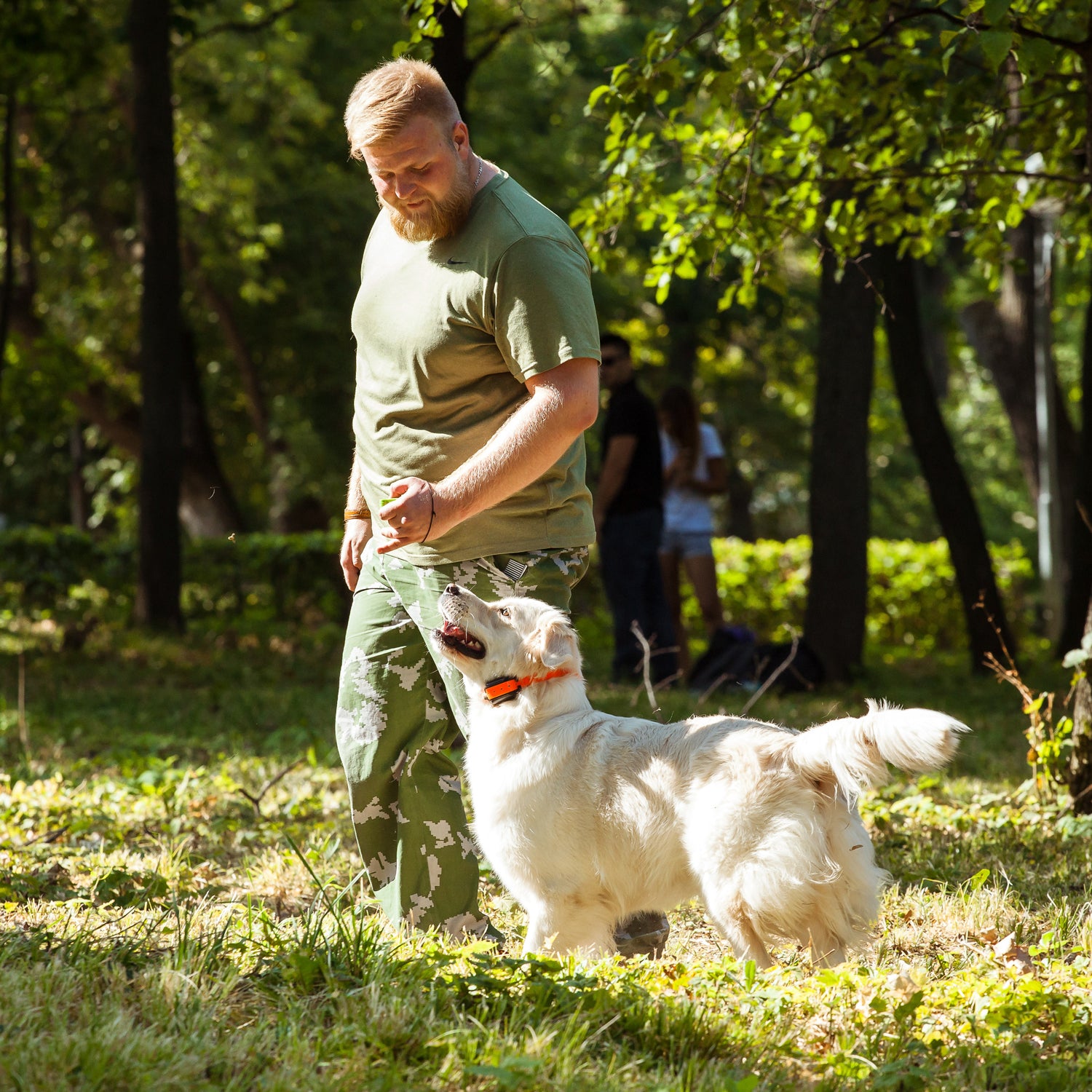 Dog training clickers with Wrist Strap