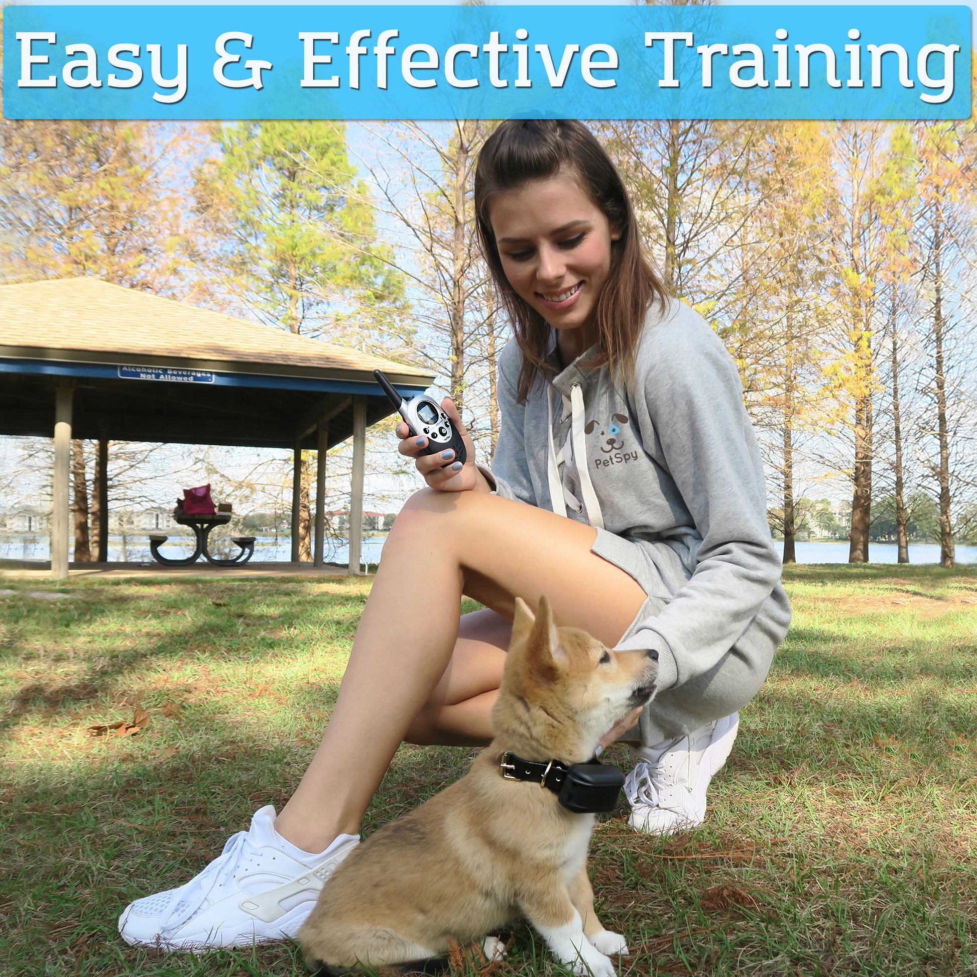 easy and effective training