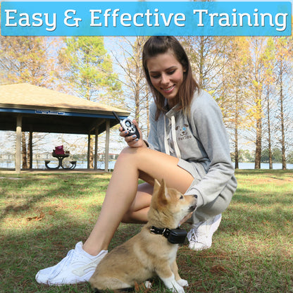 easy and effective training