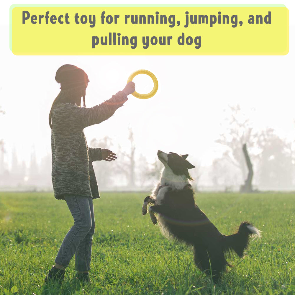 Dog Ring Toy perfect toy for running jumping and pulling your dog 