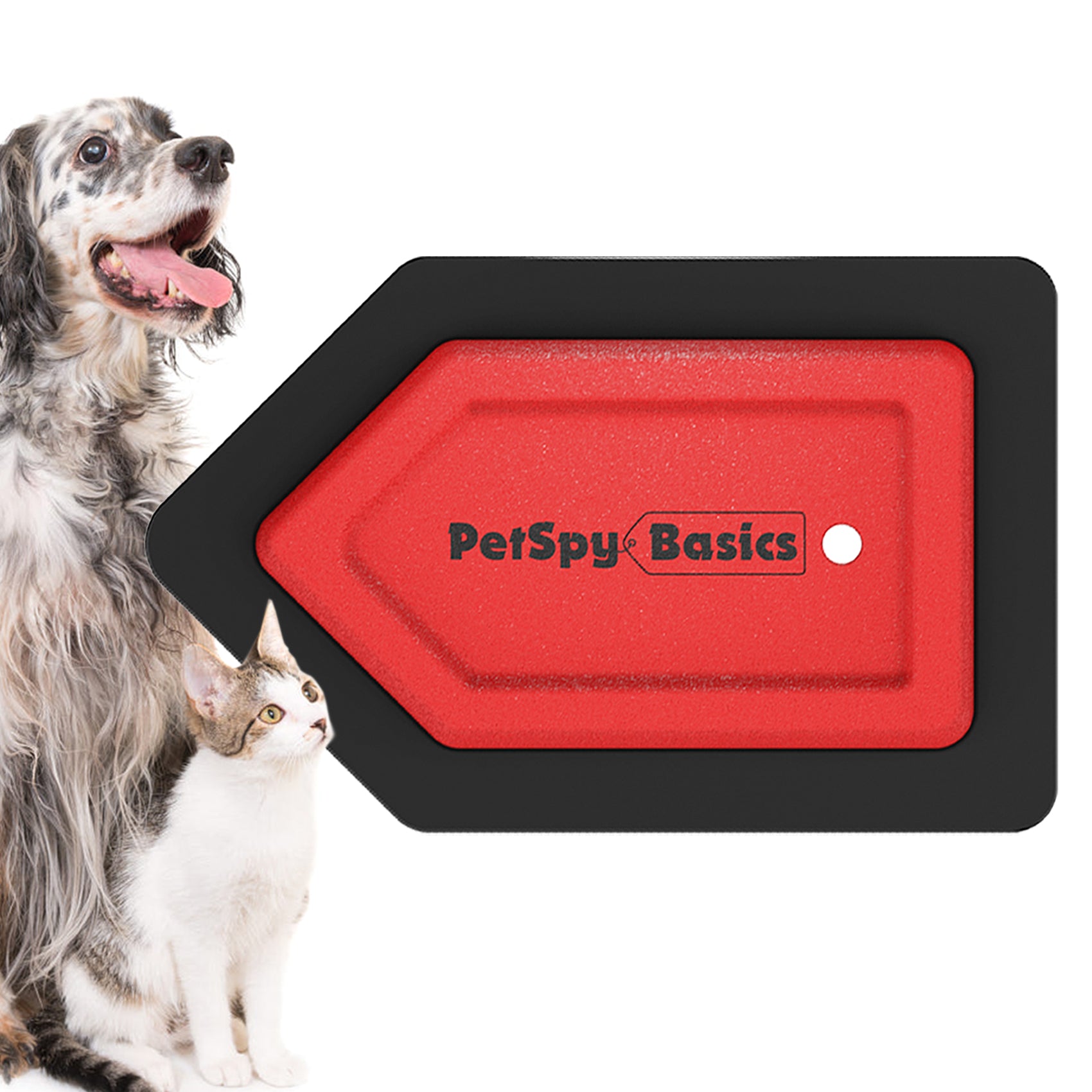 DETAIL GEAR Pet Hair Remover Brush – Automotive, Household & Equine Use (DGEARPHBWH)