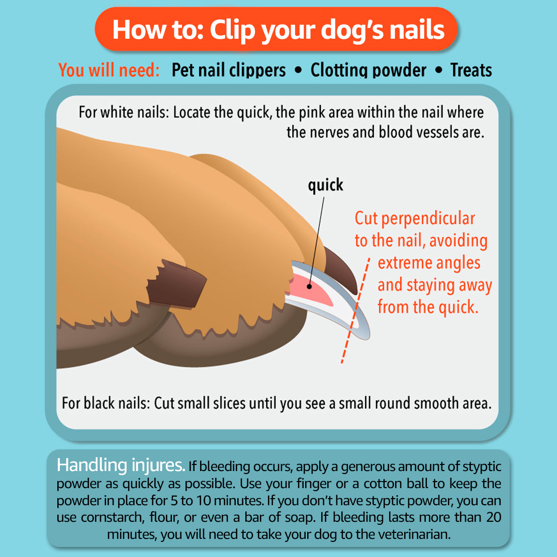 clip dog nails instruction