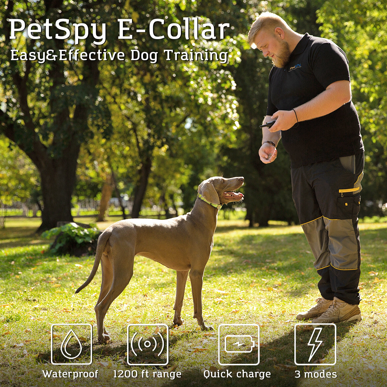 easy and effective dog training with P320