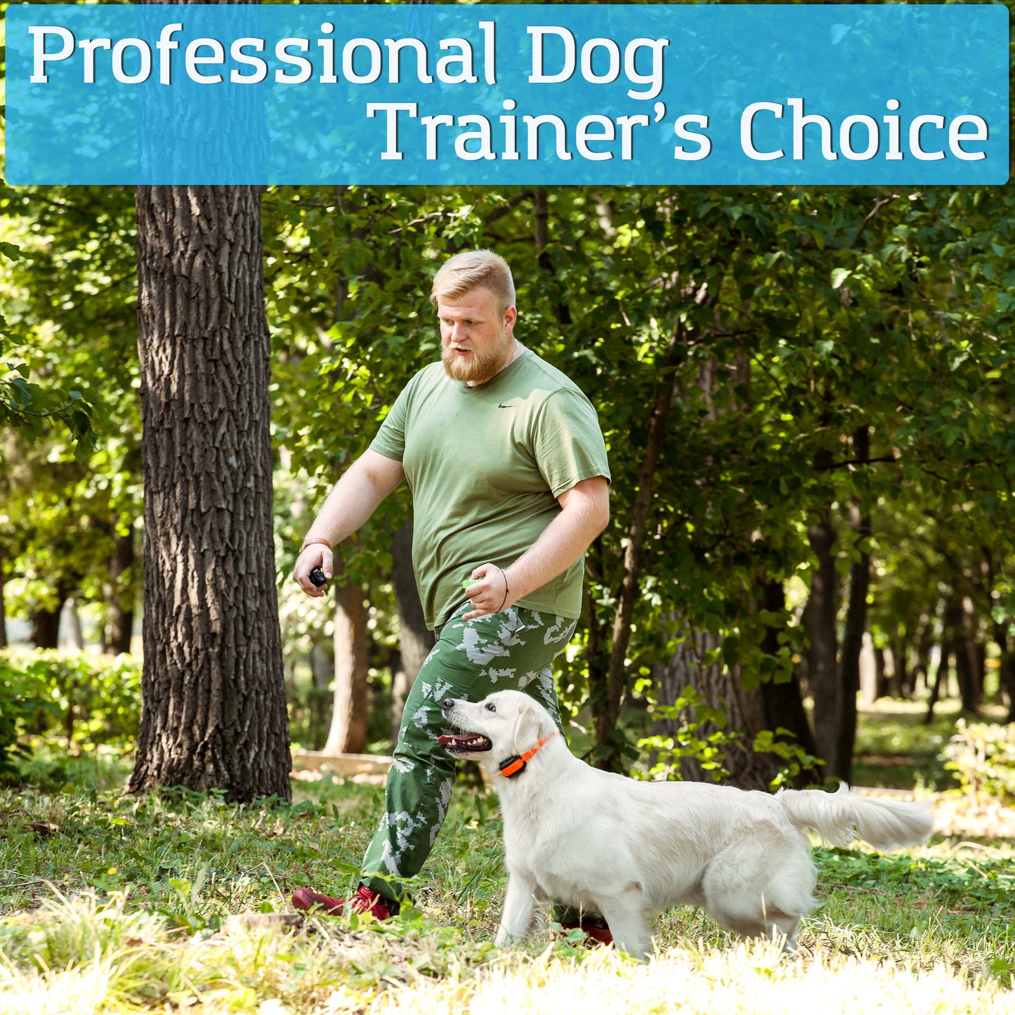 professional dog trainer's choice