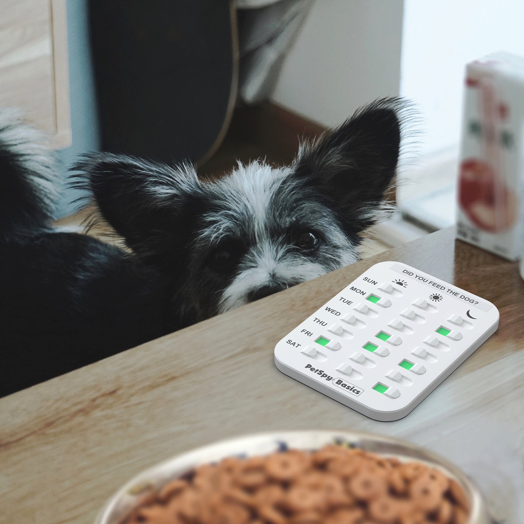 Dog Feeding Reminder Magnet Tracker Sign Easy to Set Up Prevent