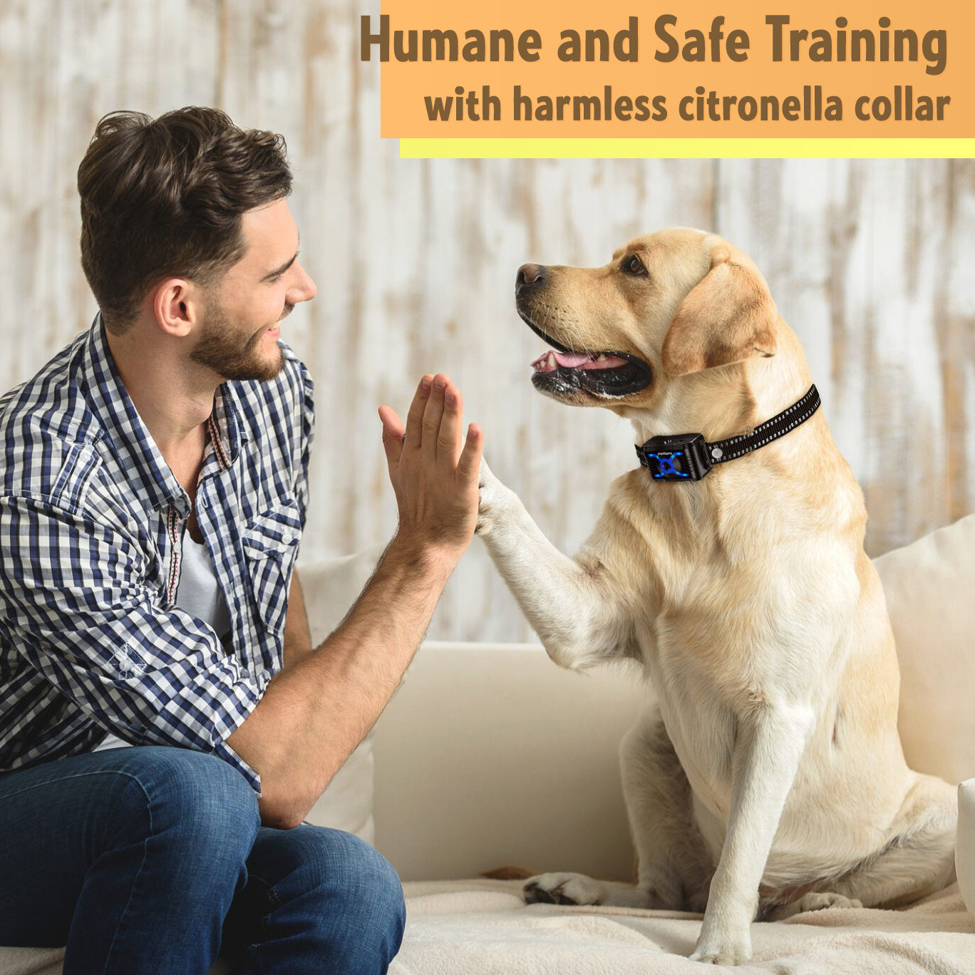 humane and safe training with harmless citronella collar