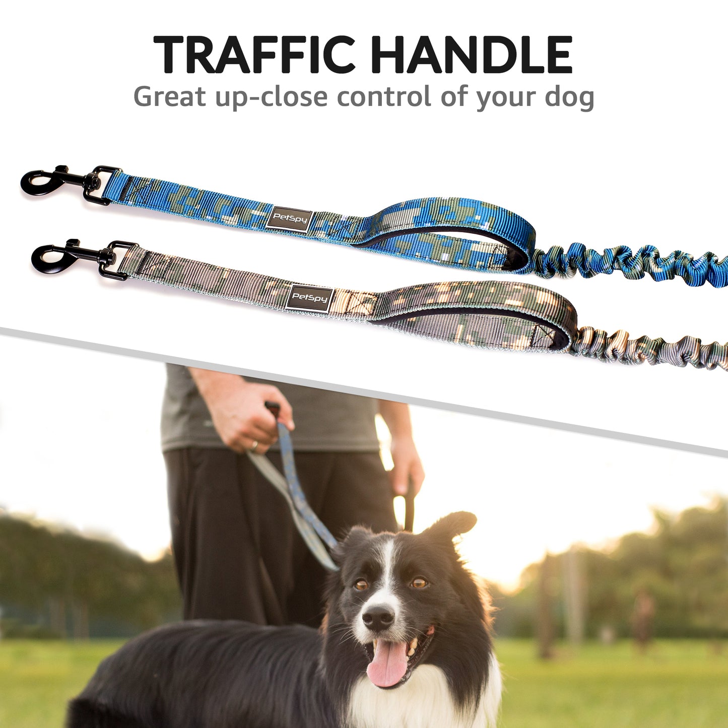 traffic handle great up-close control of your dog