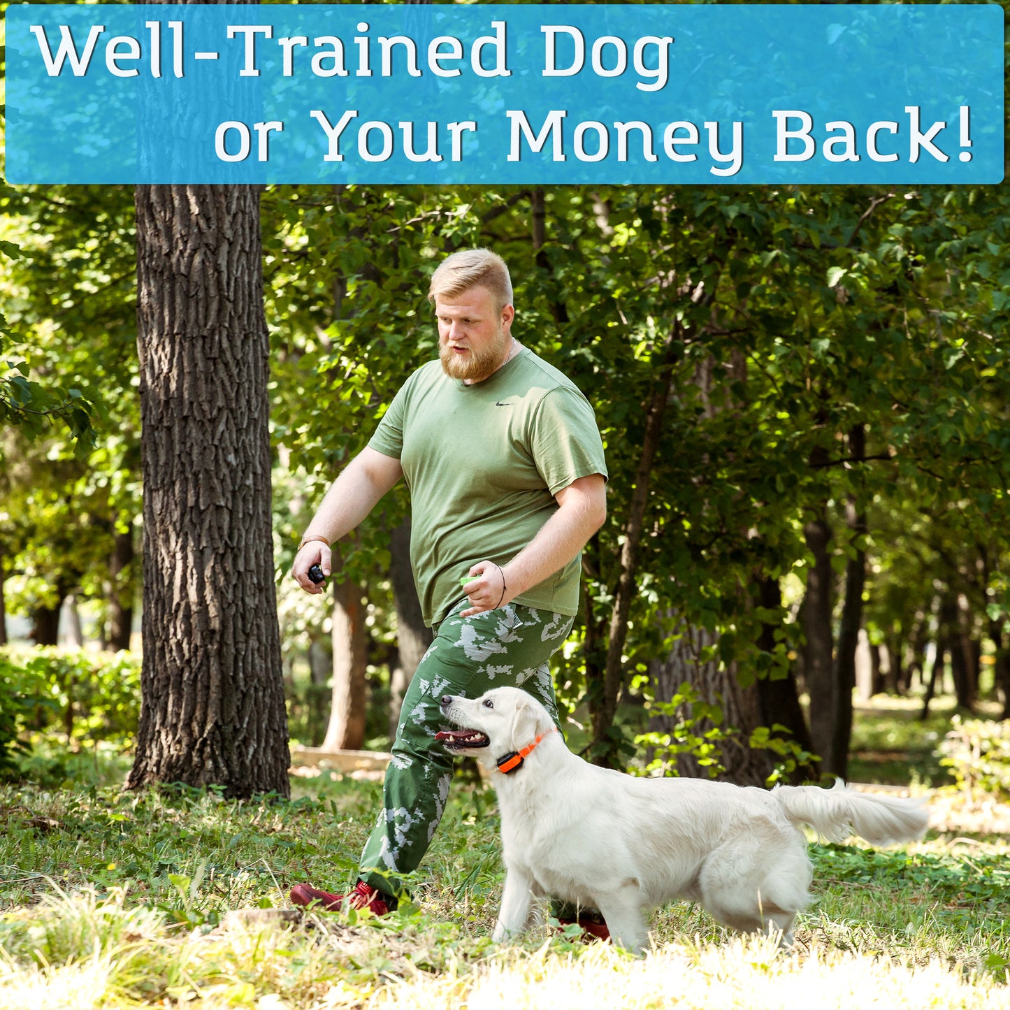well-trained dog or your money back