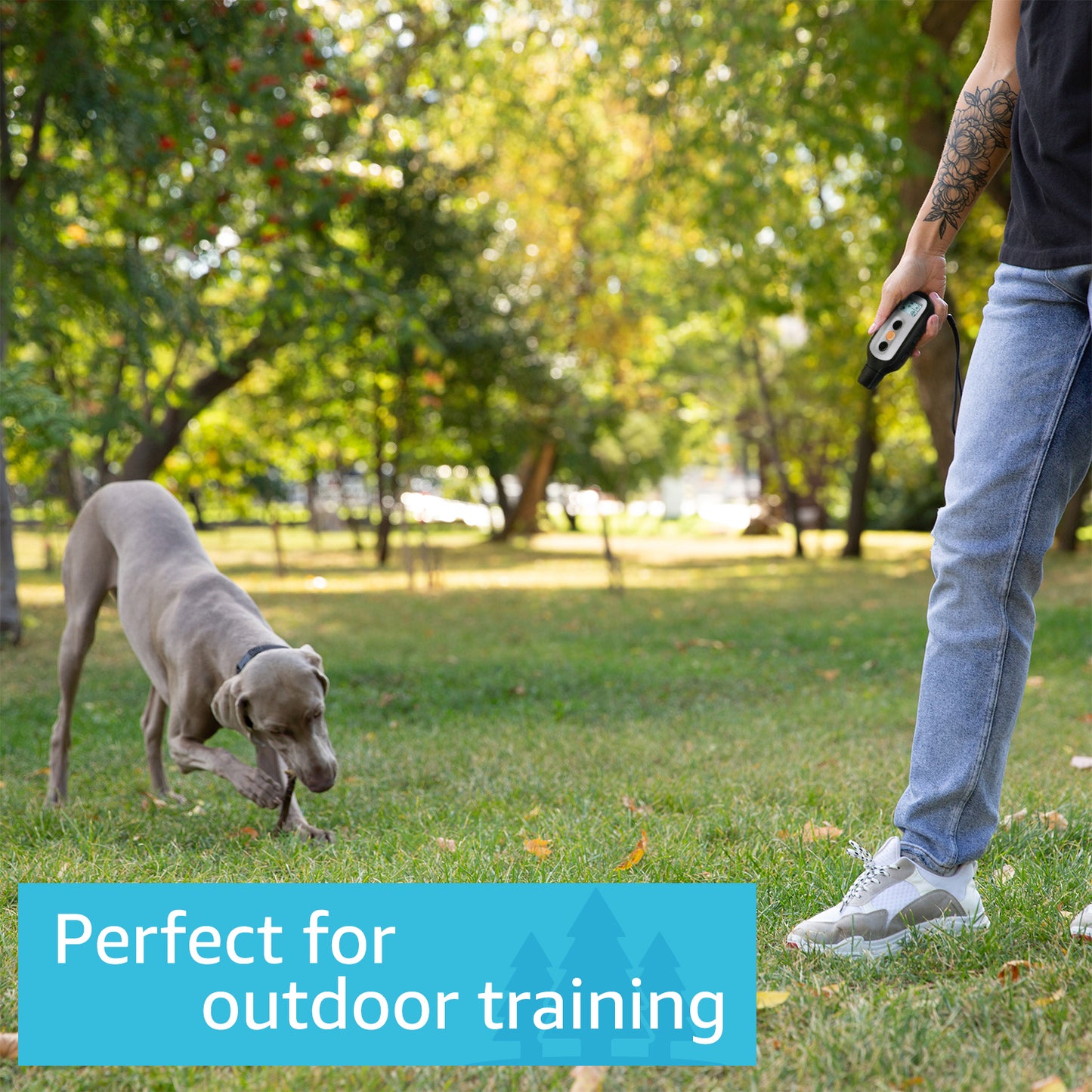 Outdoor dog training with PetSpy Xpro Dog shock collar